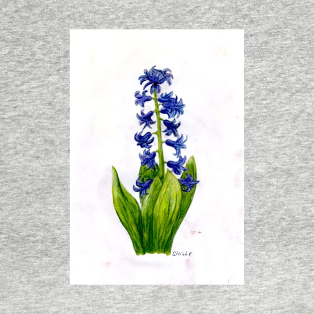 hyacinth by Kunst und Kreatives